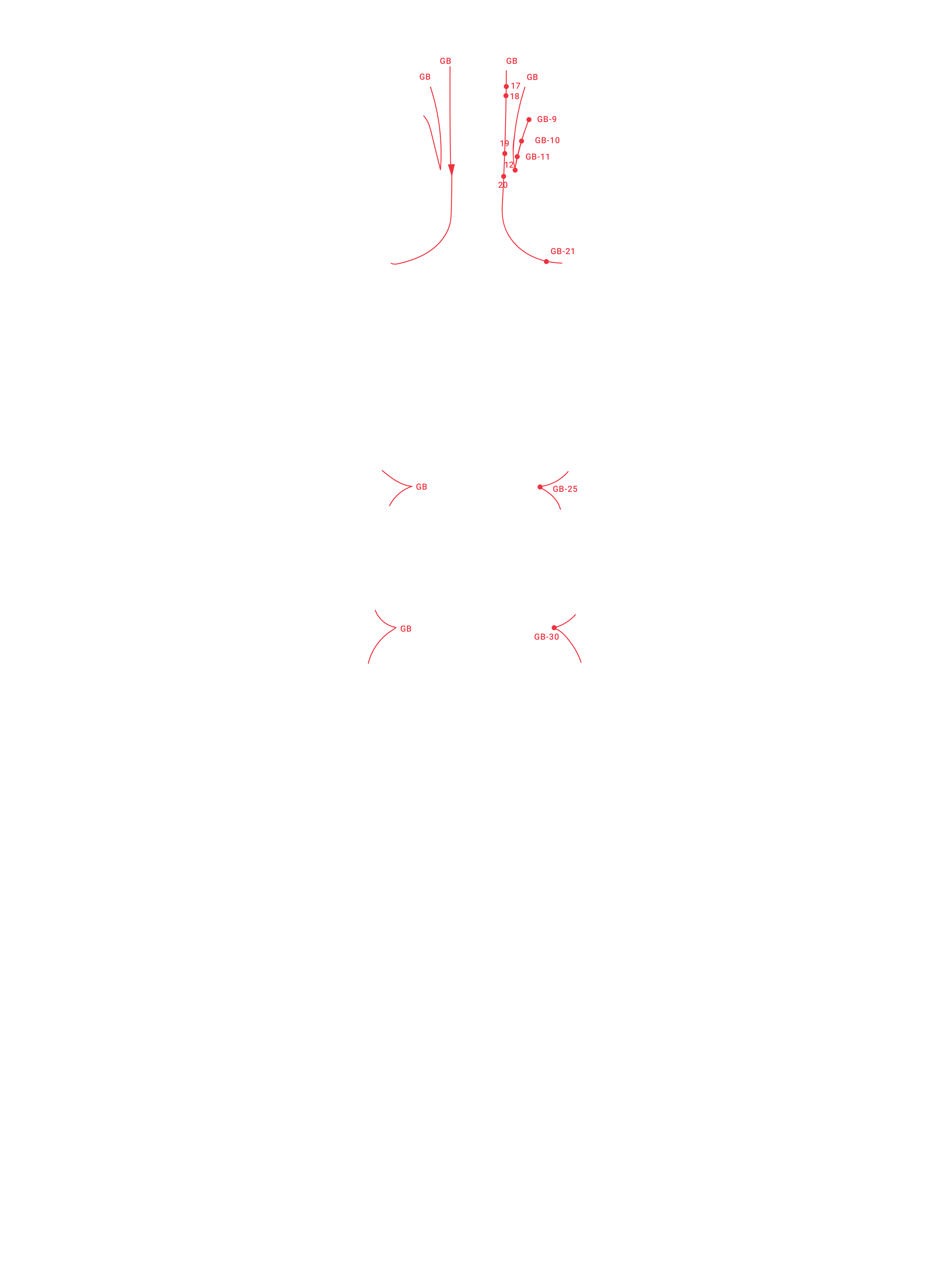 BackGallbladder