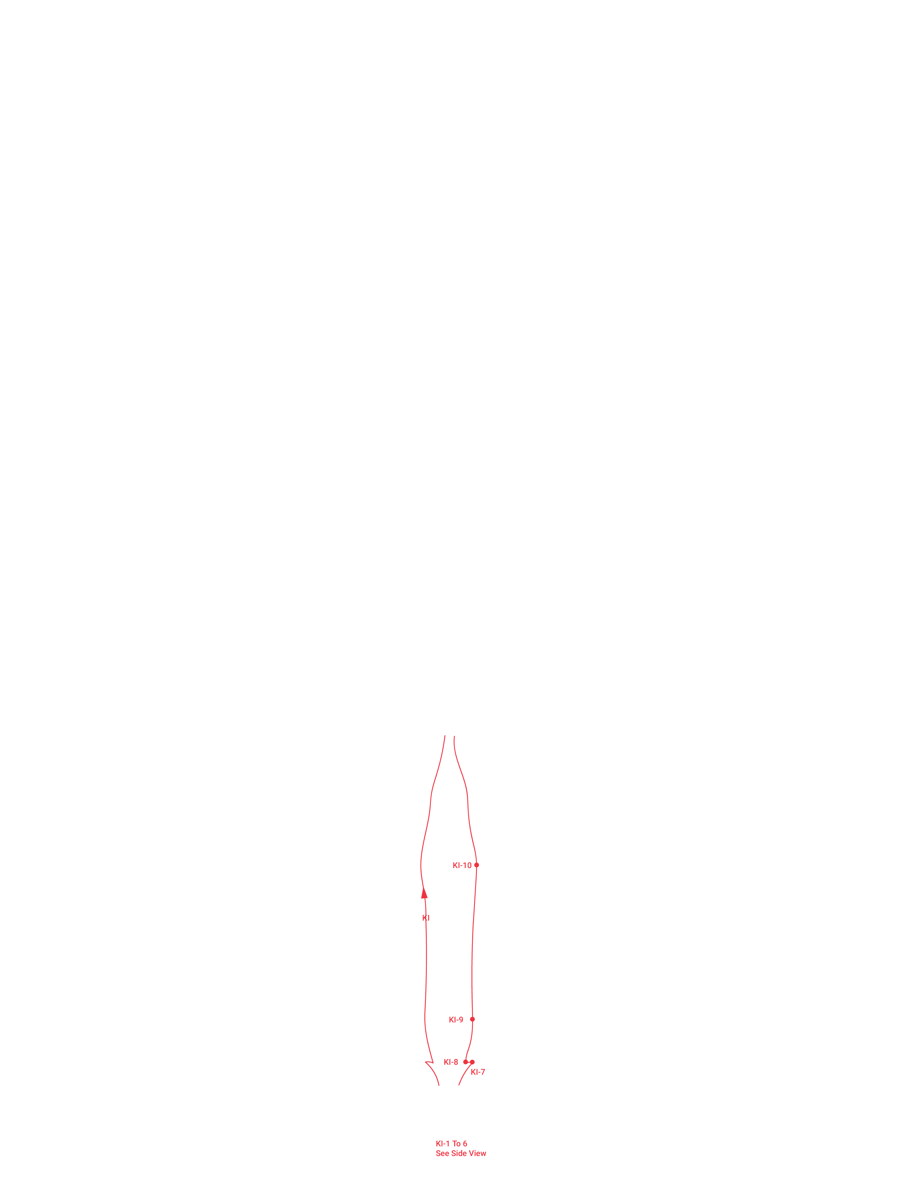 BackKidney