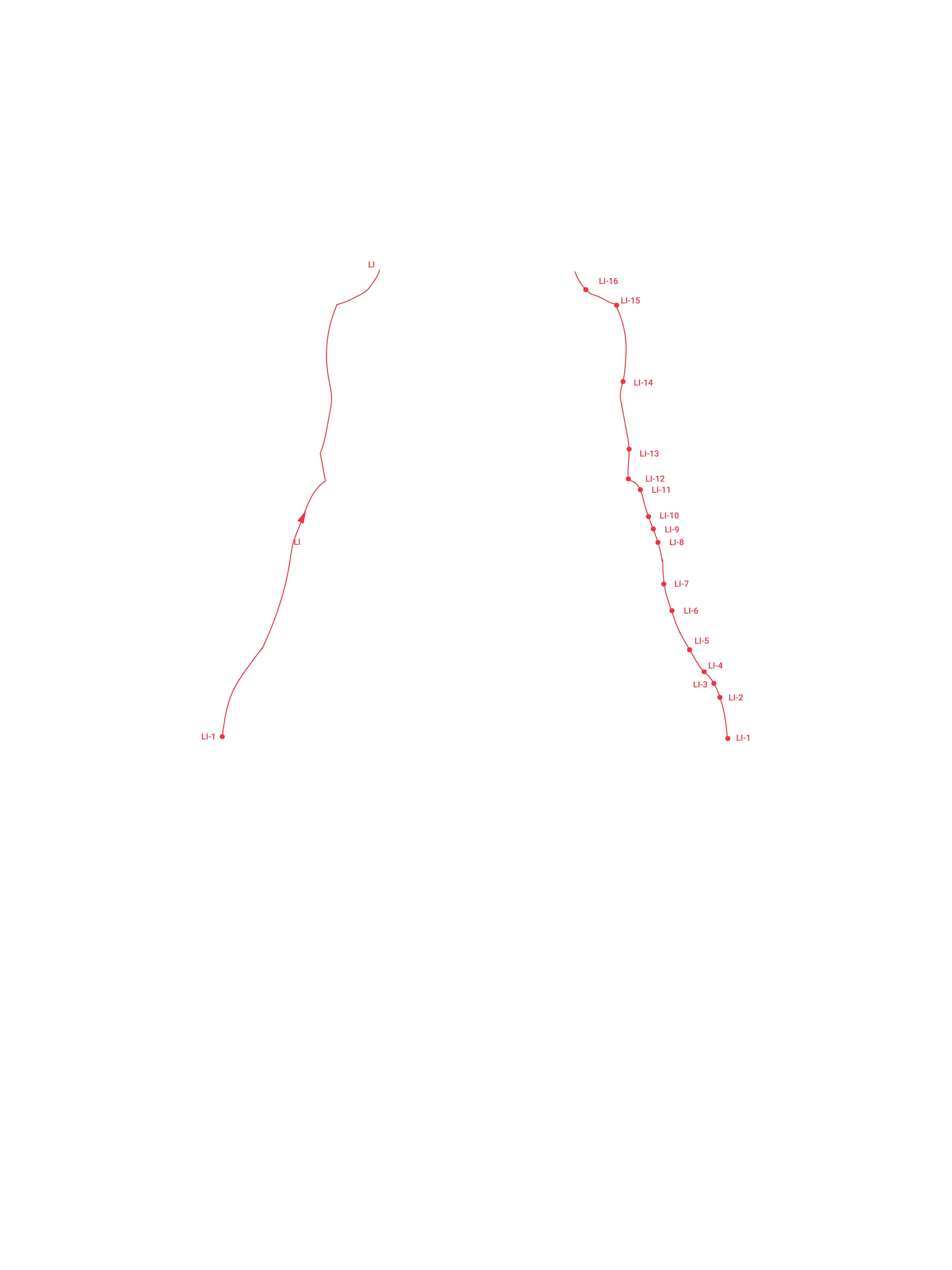 BackLarge Intestine