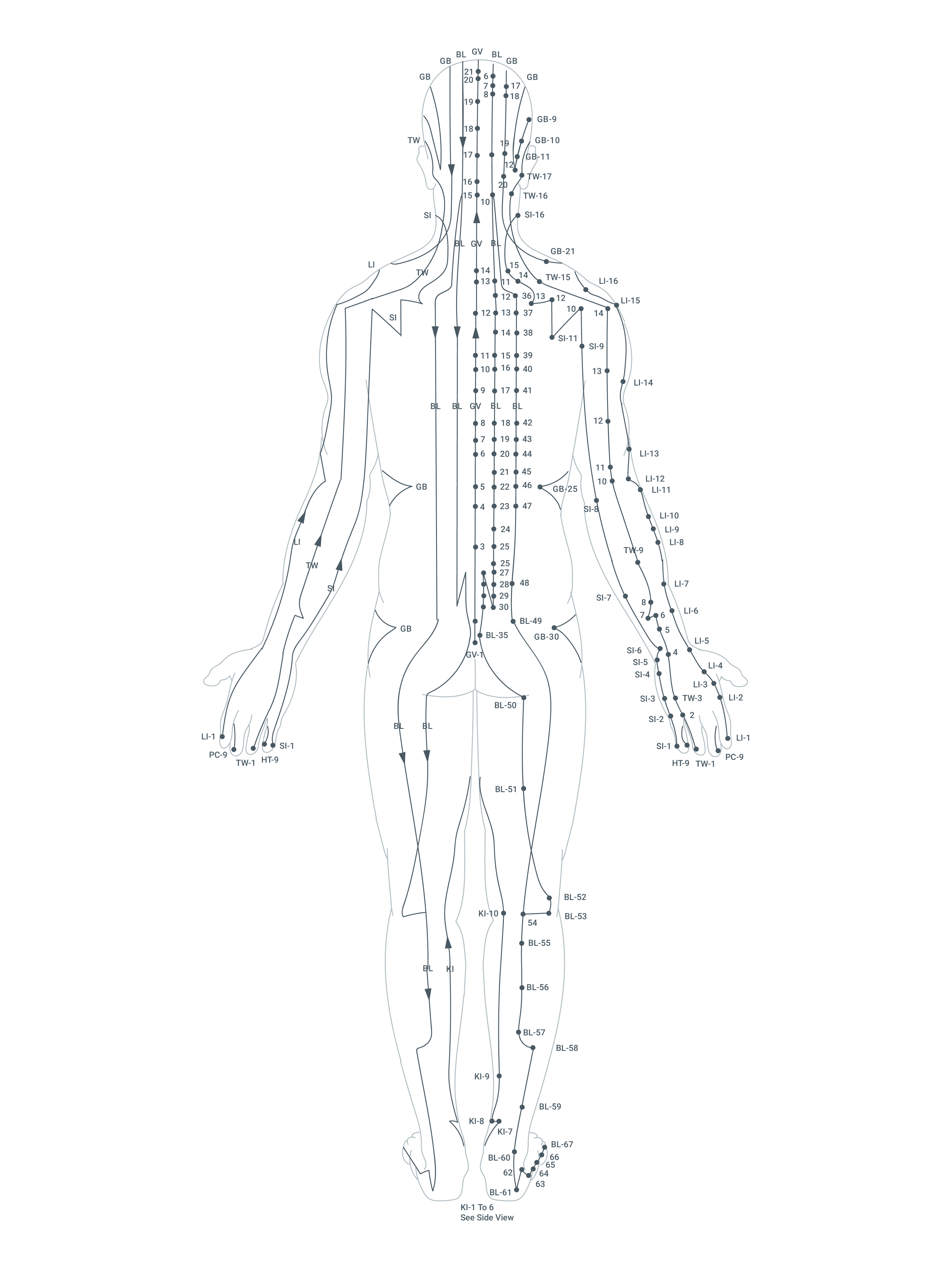 BackNormal
