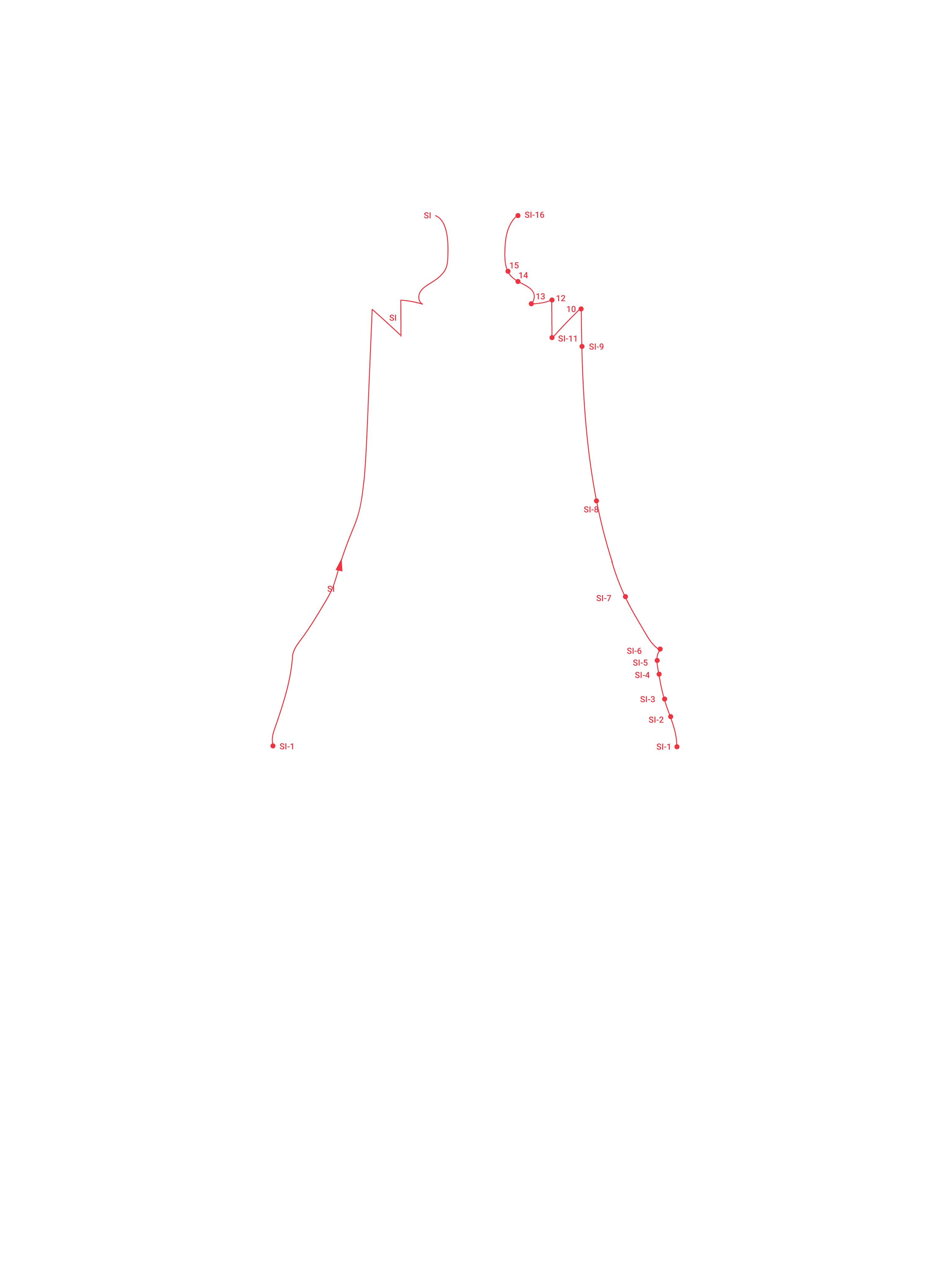 BackSmall Intestine