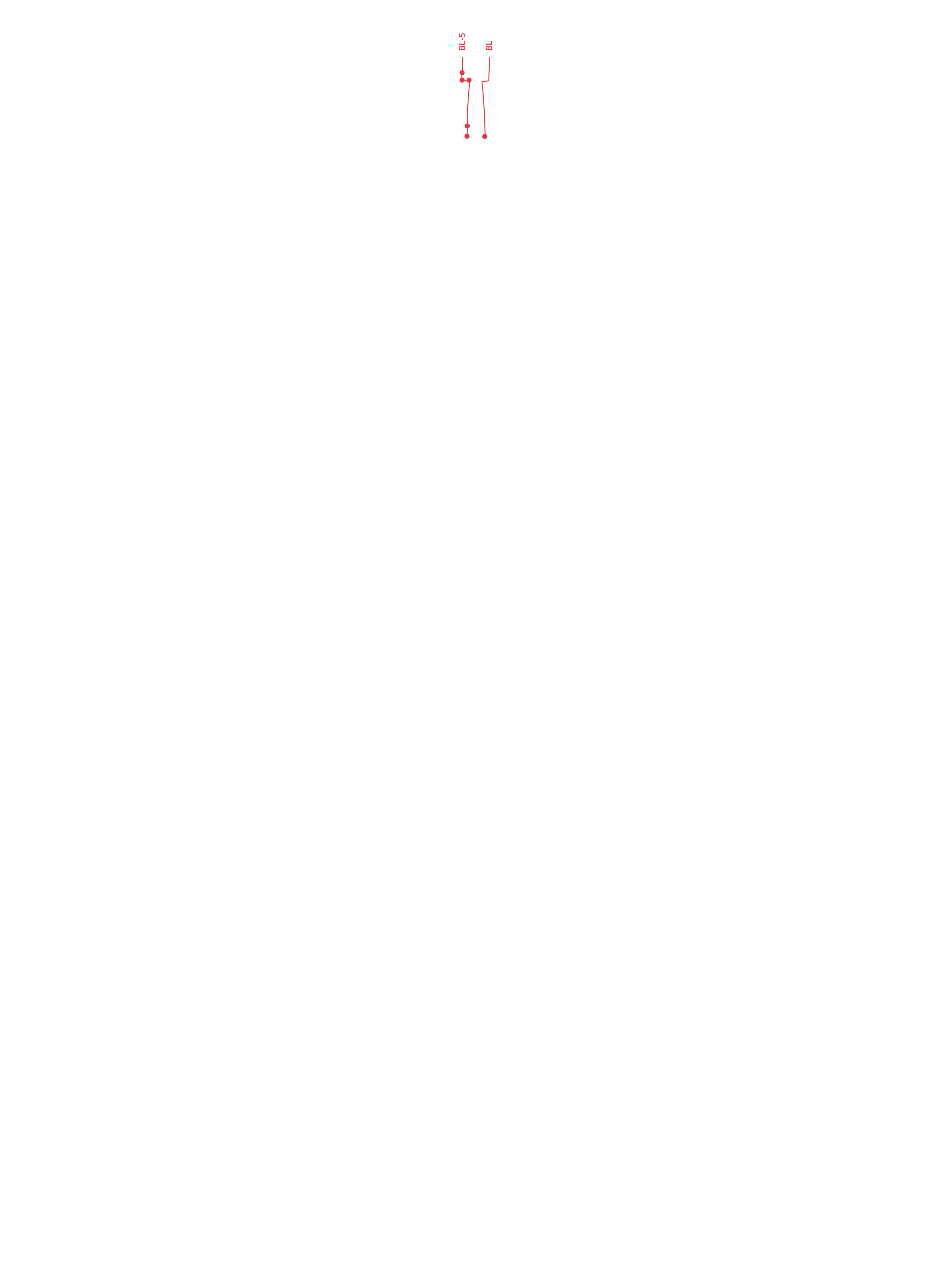 Front Bladder