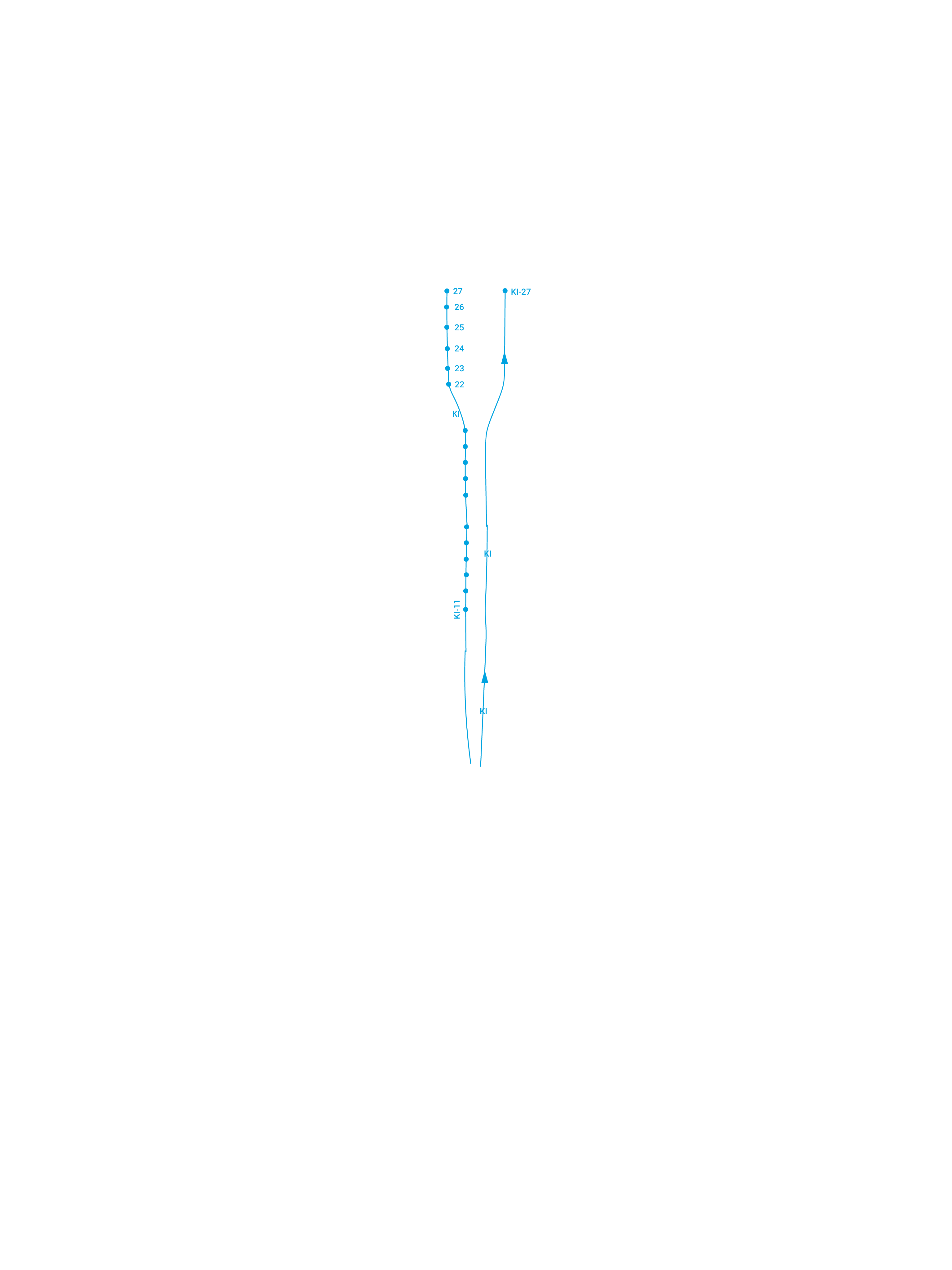 Front Kidney