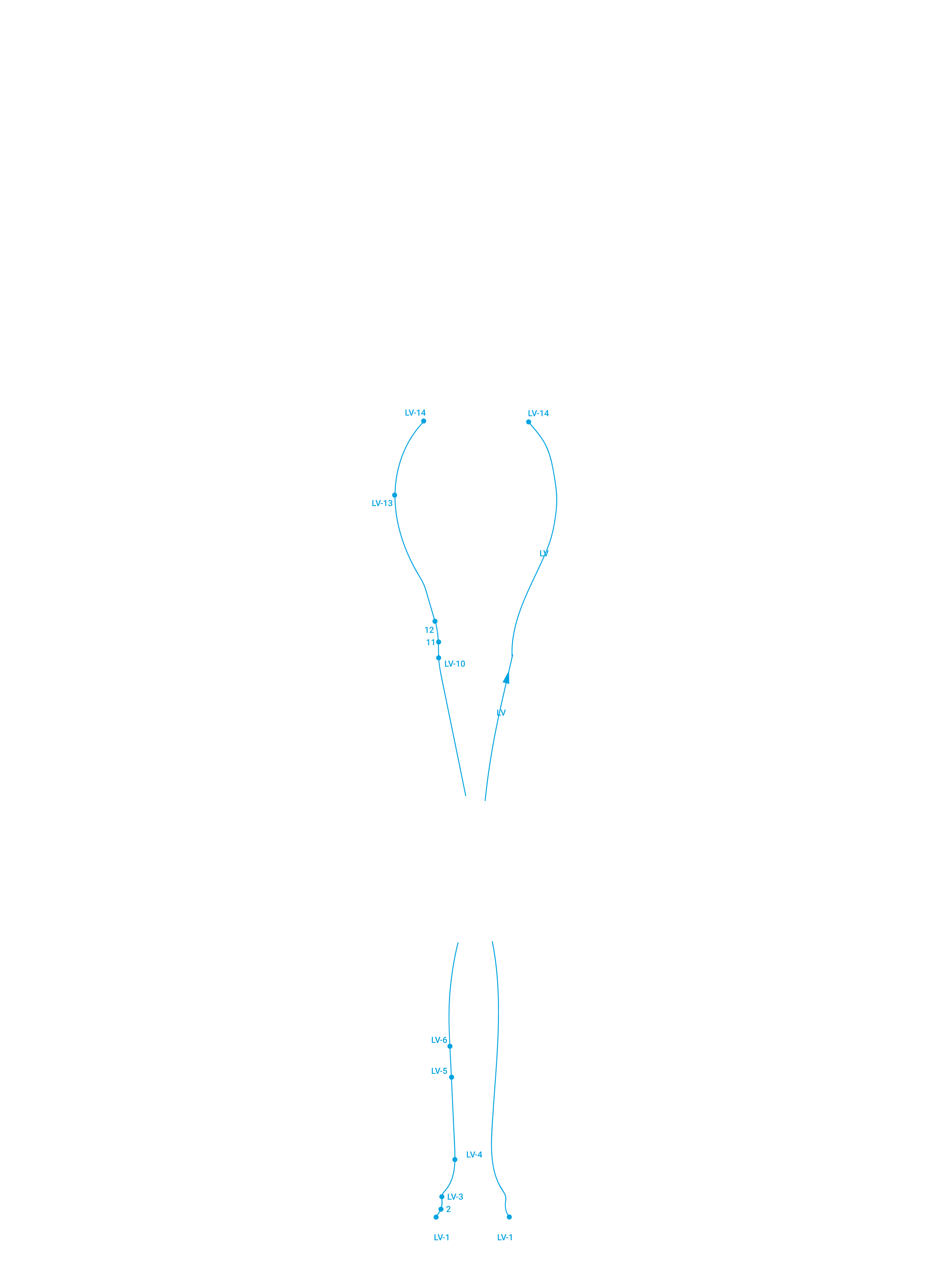 Front Liver