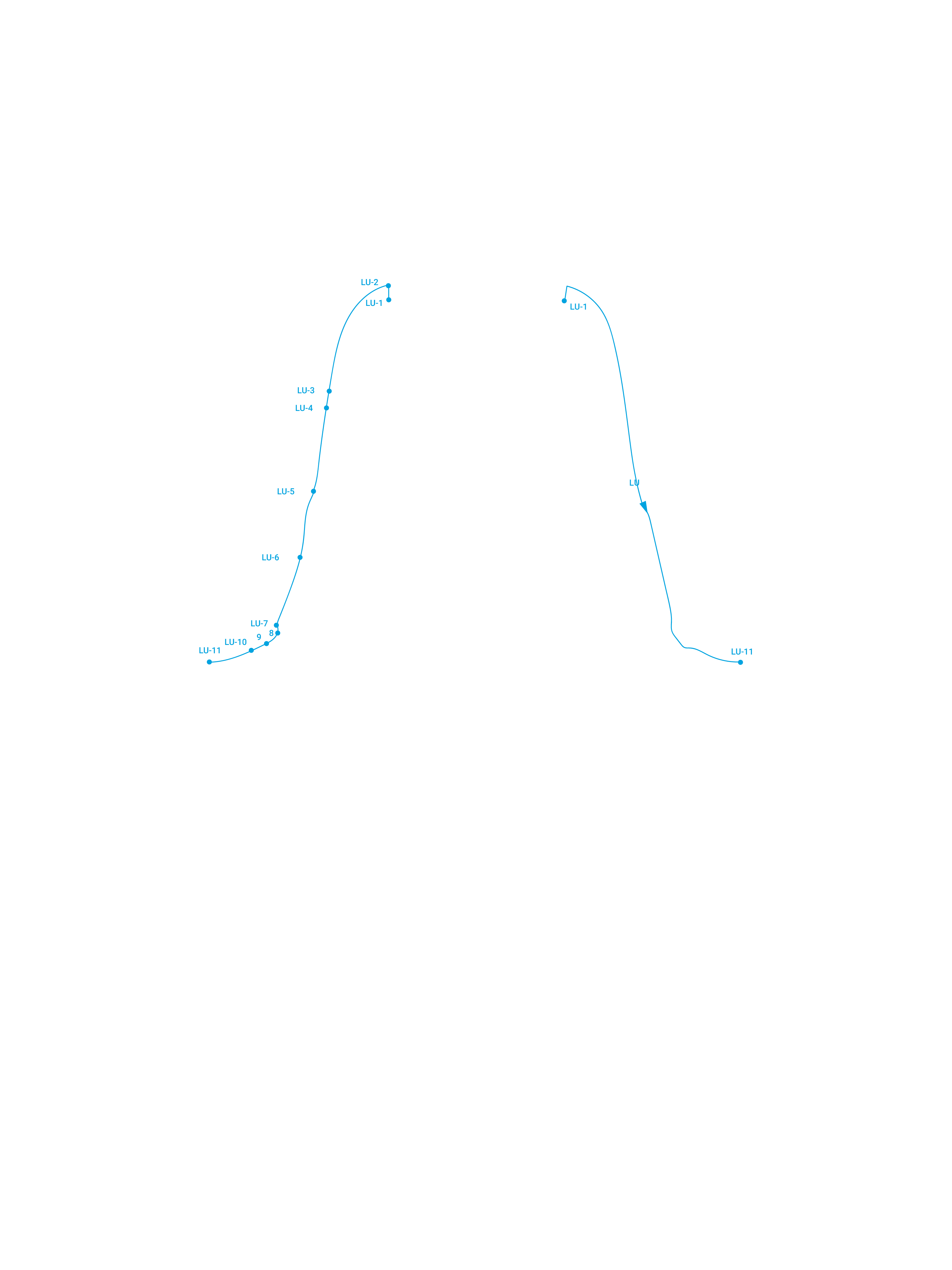 Front Lung