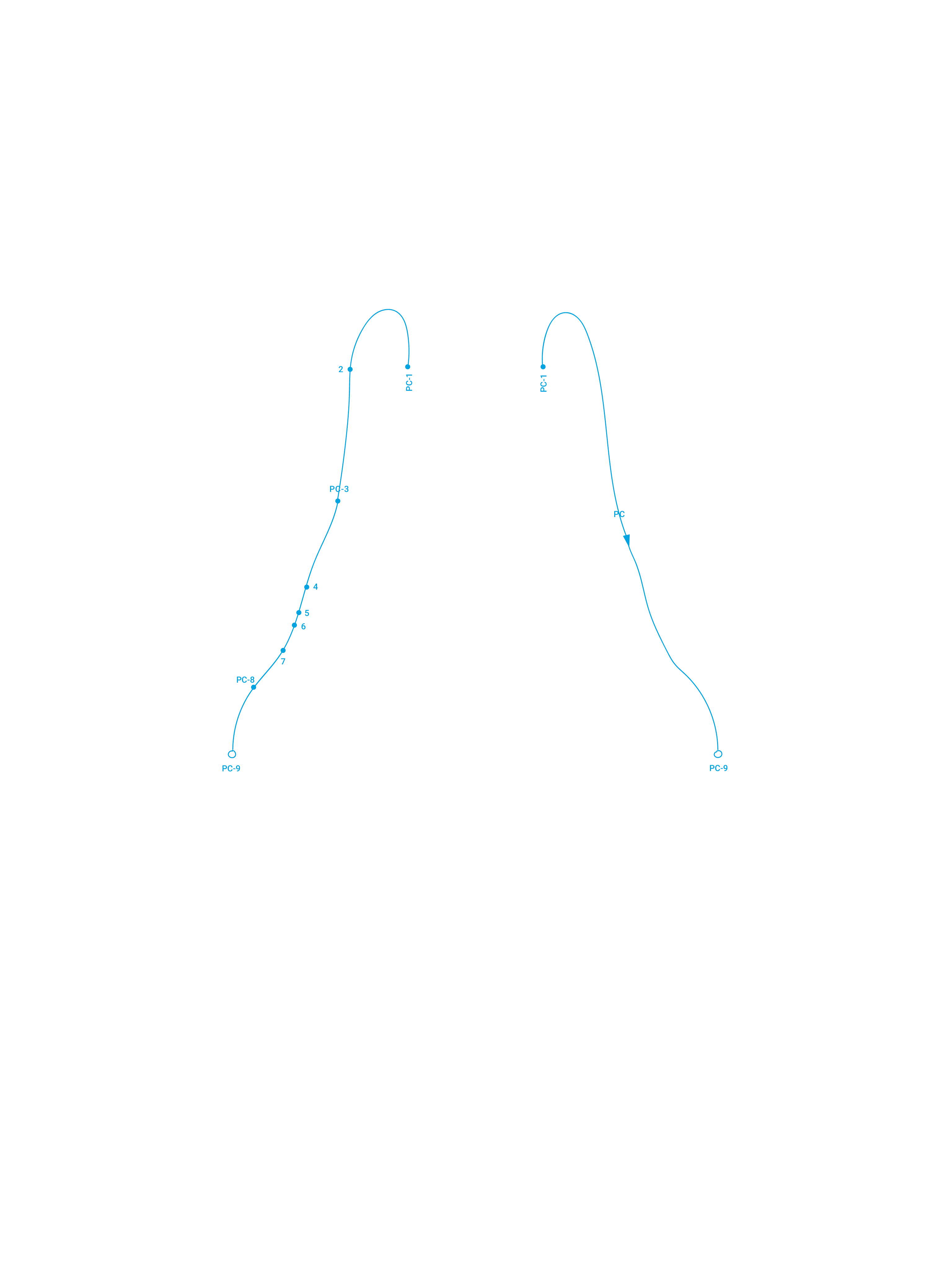 Front Pericardium