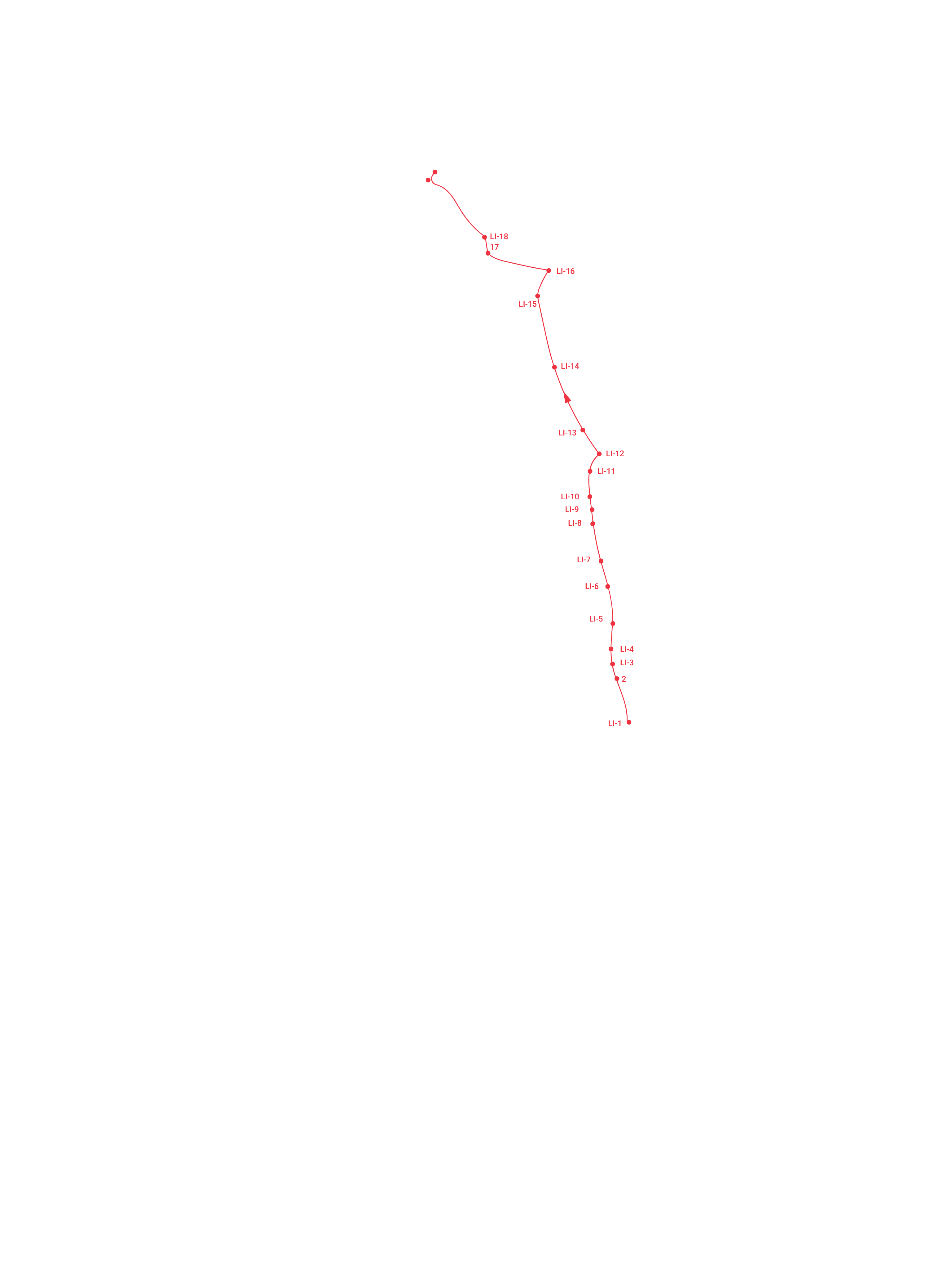 SideLarge Intestine