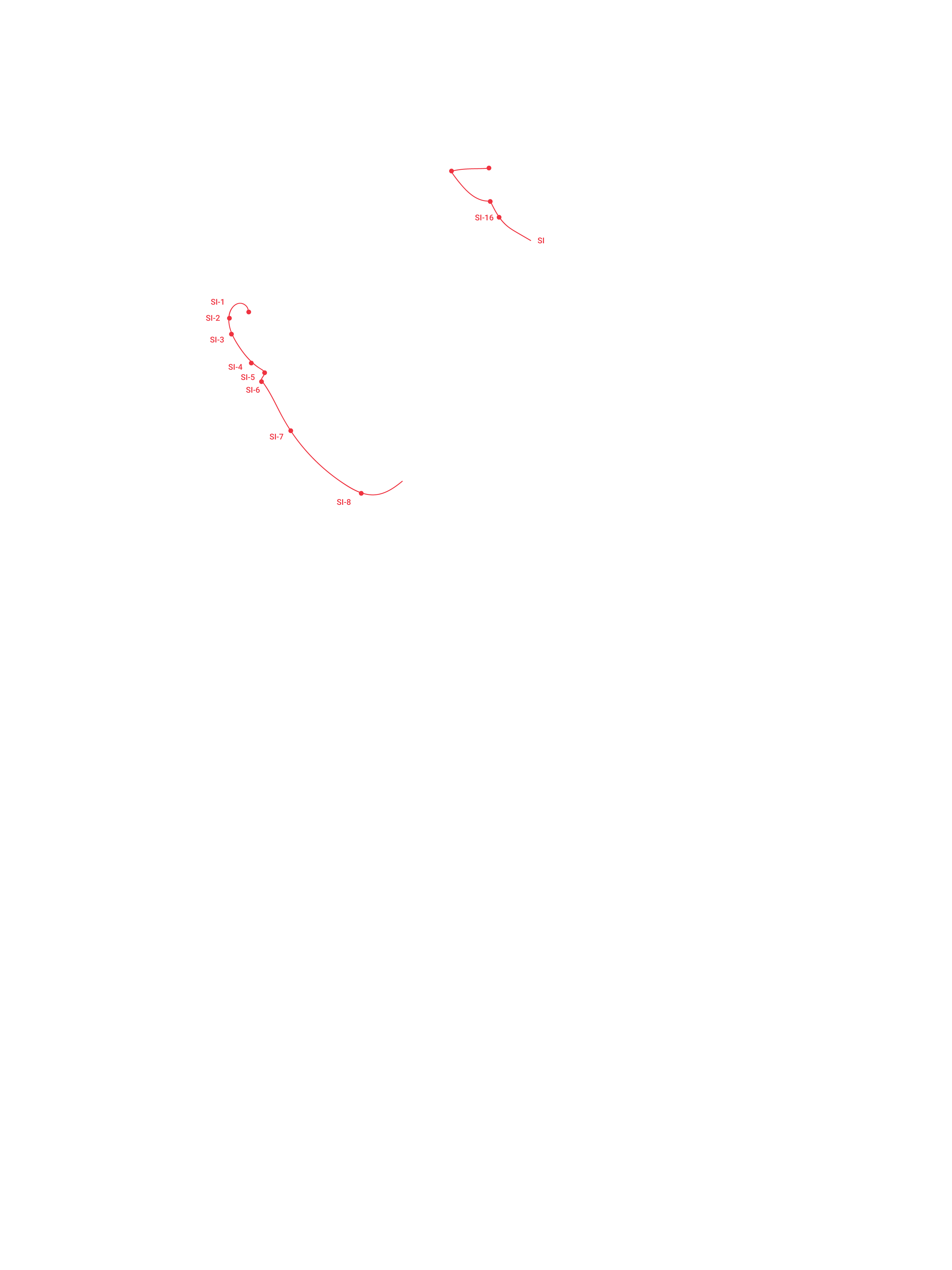 SideSmall Intestine